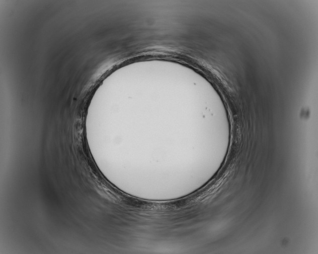 X0000099511355200806121429
