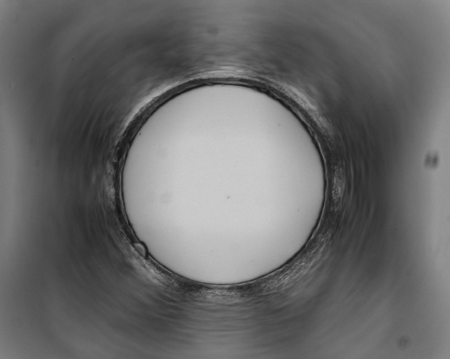X0000099511356200806121429