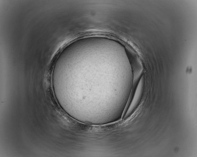 X0000099511357200806121429