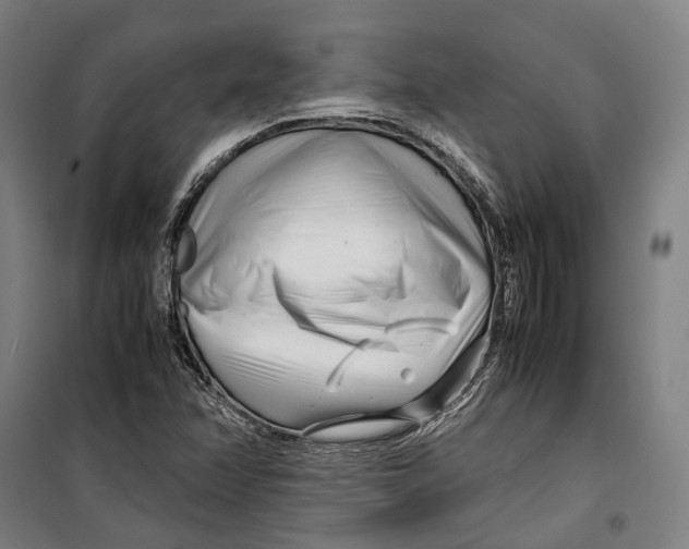 X0000099511358200806121429