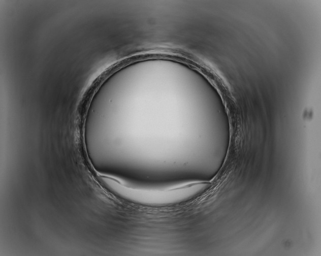 X0000099511360200806121429