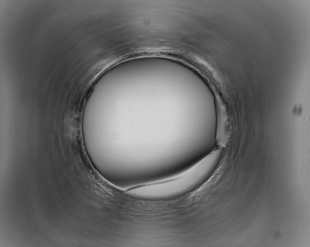 X0000099511361200806121429
