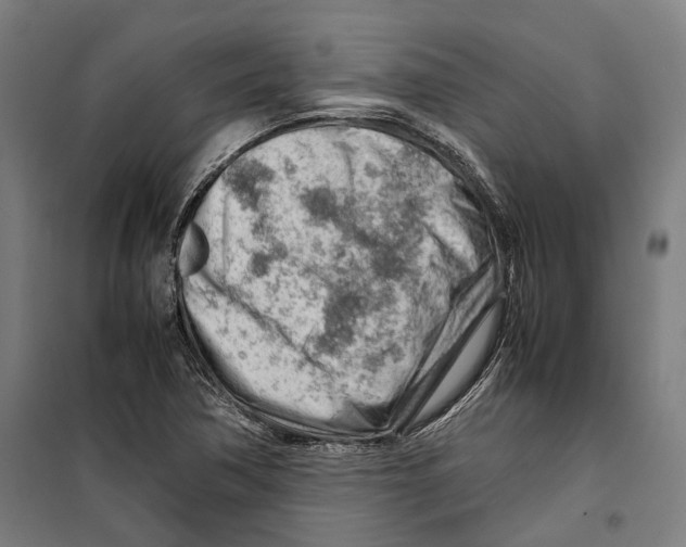 X0000099511362200806121429
