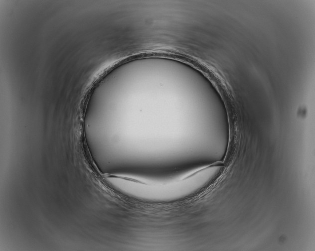 X0000099511363200806121429