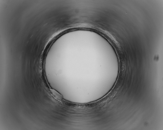 X0000099511364200806121429