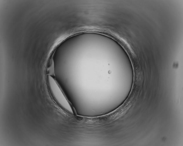 X0000099511365200806121429