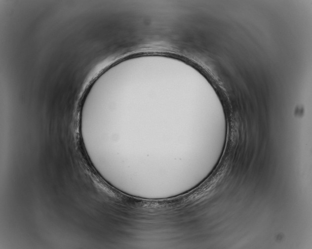 X0000099511366200806121429