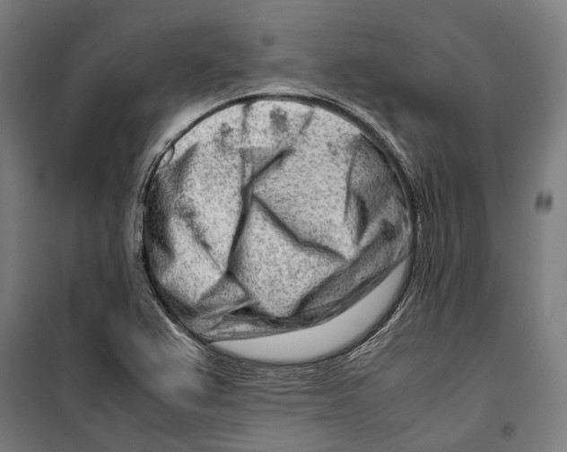 X0000099511367200806121429