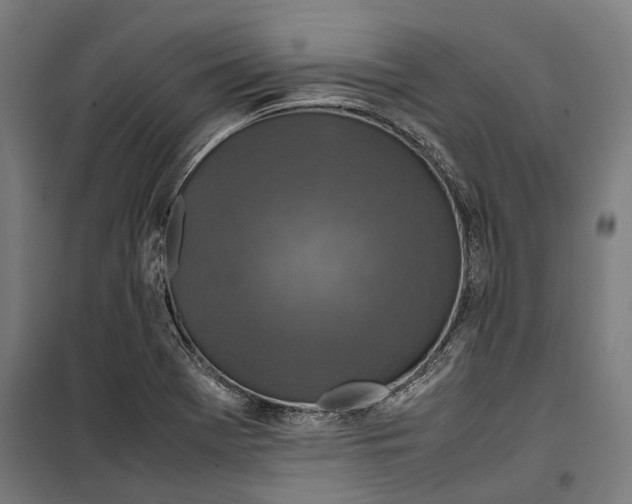 X0000099511369200806121429