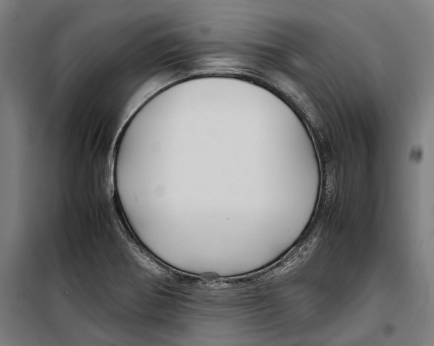 X0000099511370200806121429