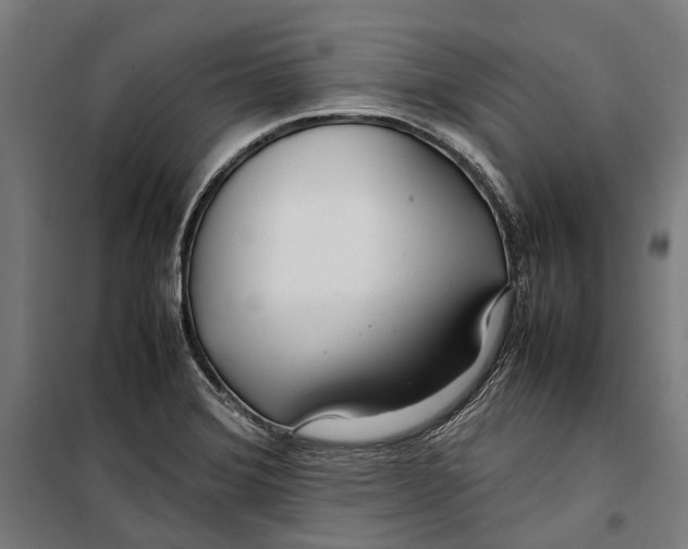 X0000099511372200806121429
