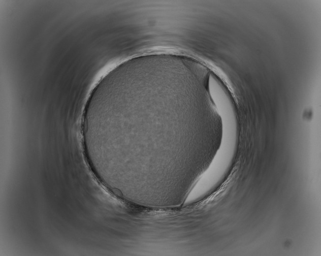 X0000099511373200806121429