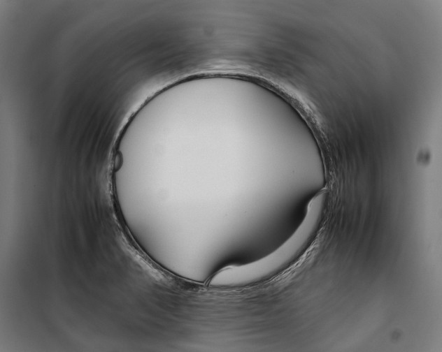 X0000099511374200806121429