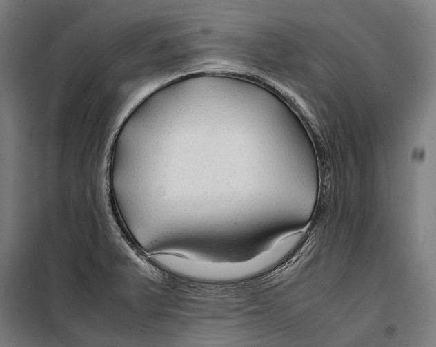 X0000099511375200806121429