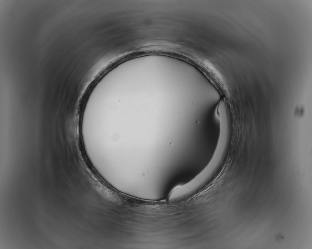 X0000099511376200806121429