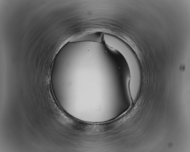 X0000099511377200806121429
