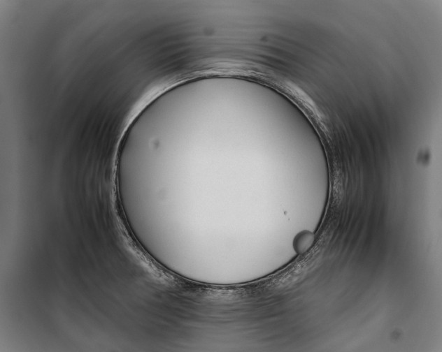 X0000099511378200806121429