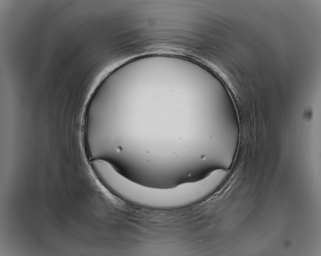 X0000099511379200806121429
