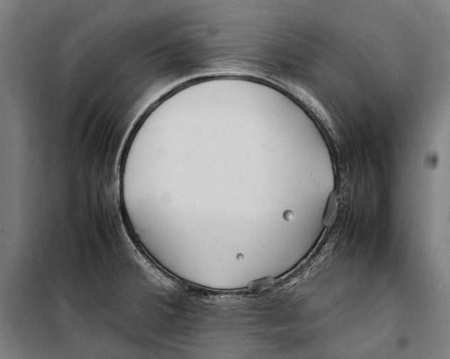 X0000099511380200806121429