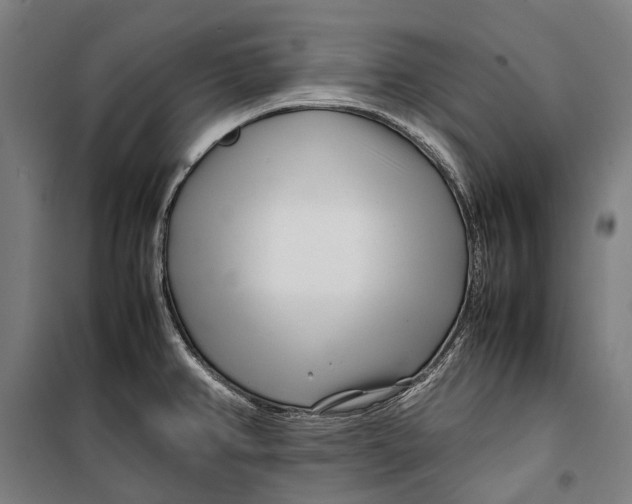 X0000099511382200806121429