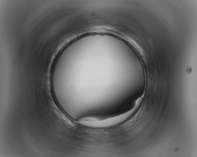 X0000099511384200806121429