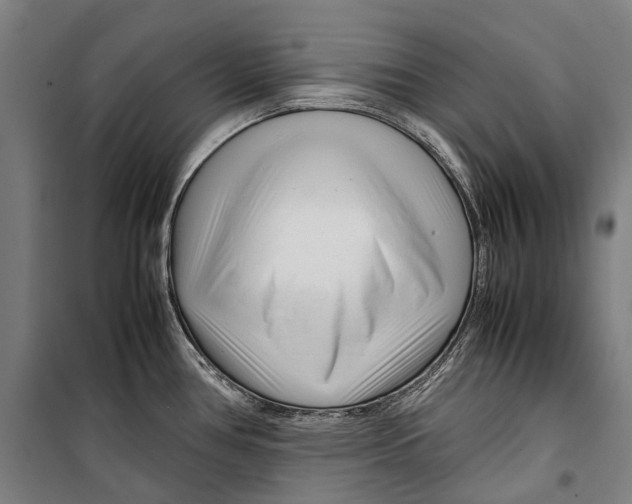 X0000099511386200806121429
