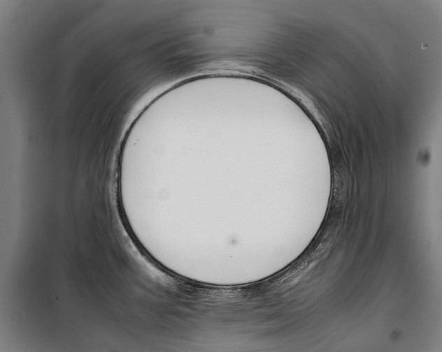 X0000099511387200806121429