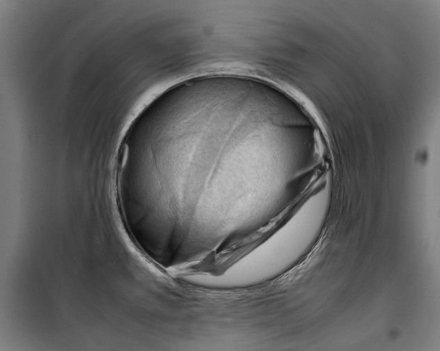 X0000099511389200806121429