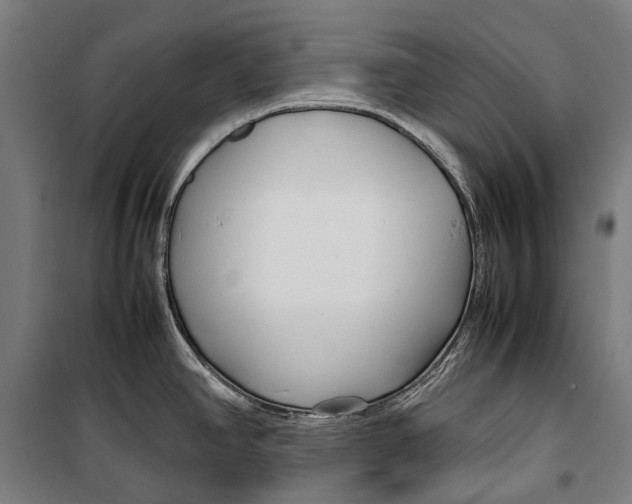 X0000099511390200806121429
