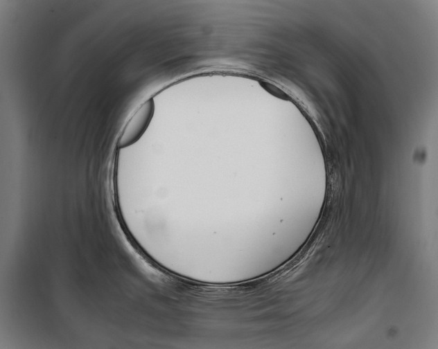 X0000099511391200806121429