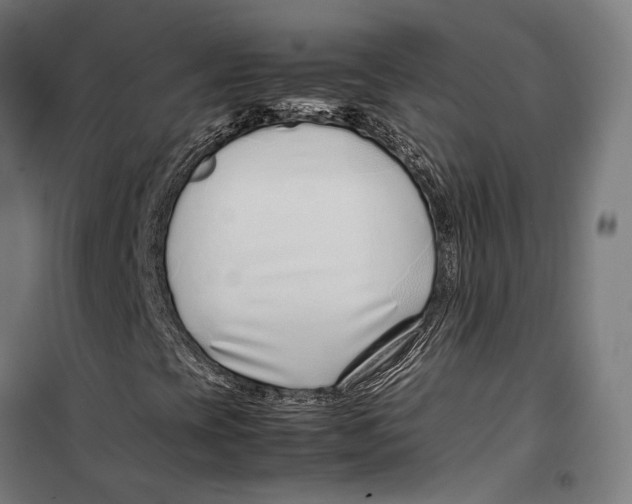 X0000099511393200806121428