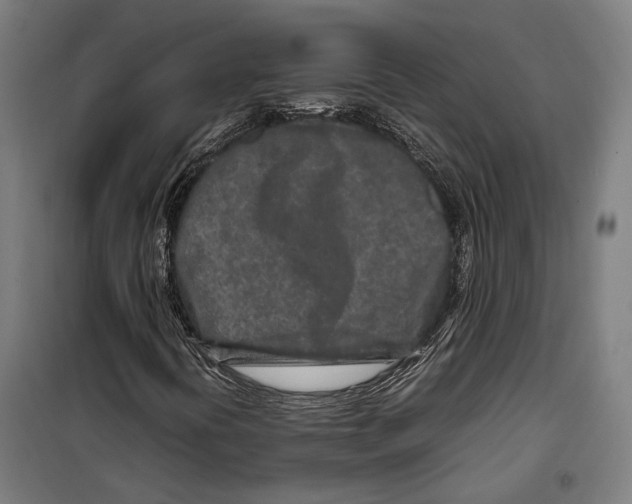 X0000099511394200806121428