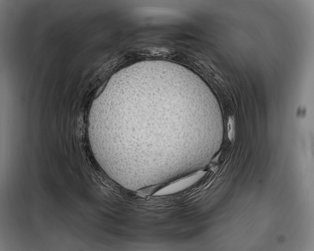 X0000099511395200806121428