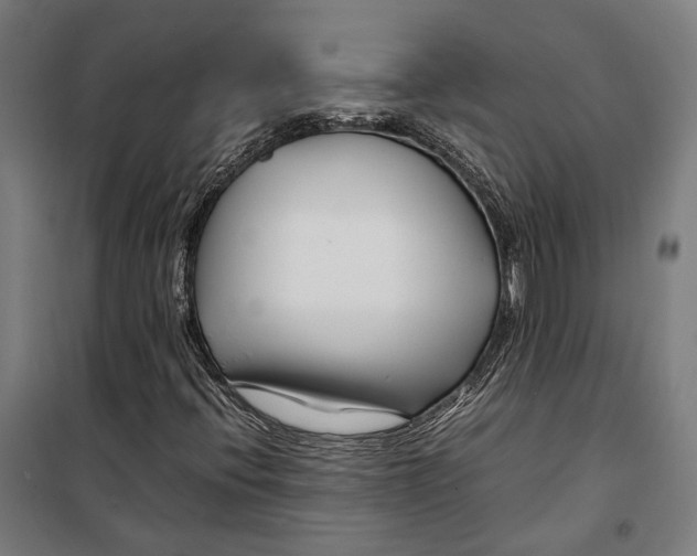 X0000099511396200806121428