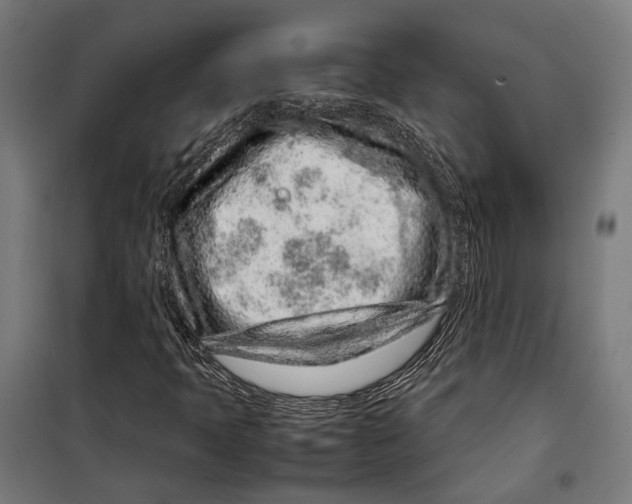 X0000099511397200806121428