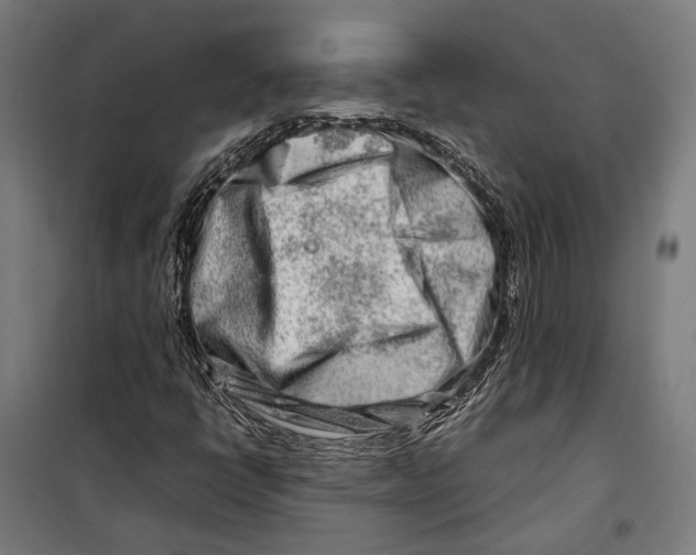 X0000099511398200806121428