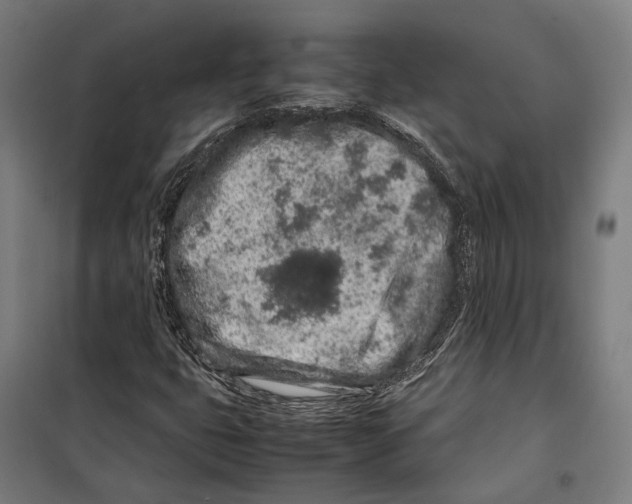 X0000099511399200806121428