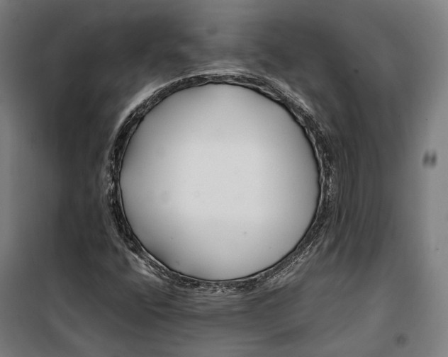 X0000099511400200806121428