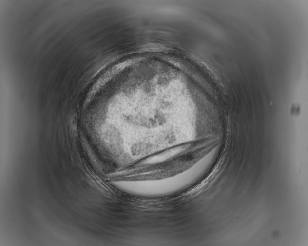 X0000099511401200806121428