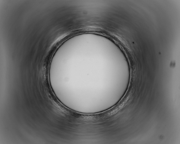 X0000099511402200806121428