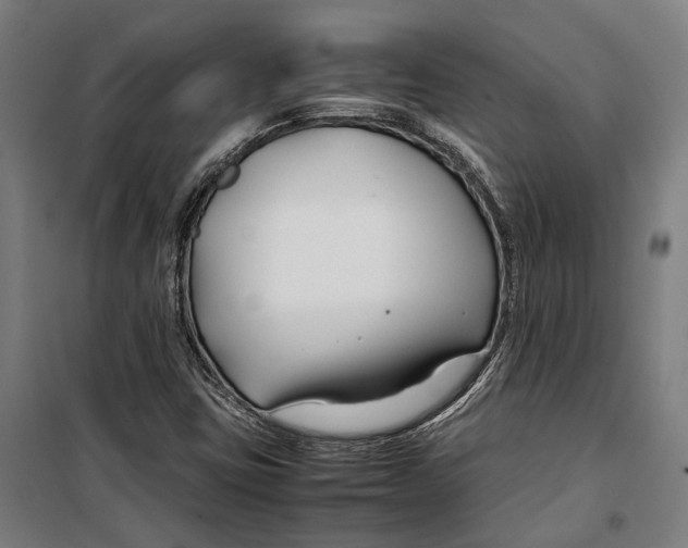 X0000099511403200806121428