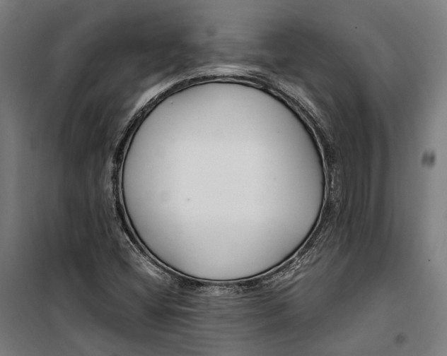 X0000099511404200806121428