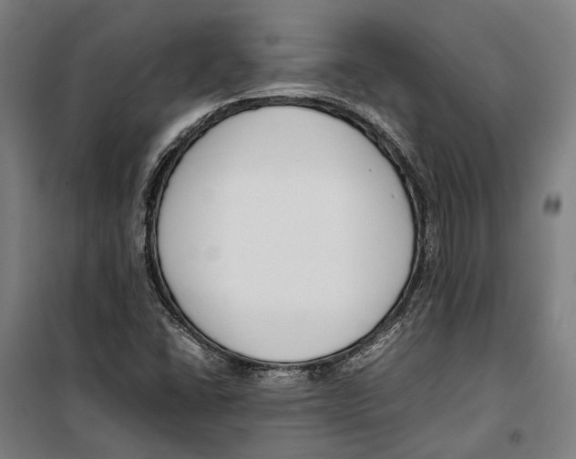 X0000099511406200806121428