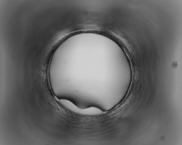X0000099511407200806121428