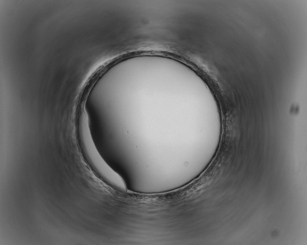 X0000099511408200806121428