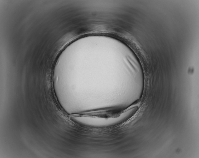 X0000099511409200806121428