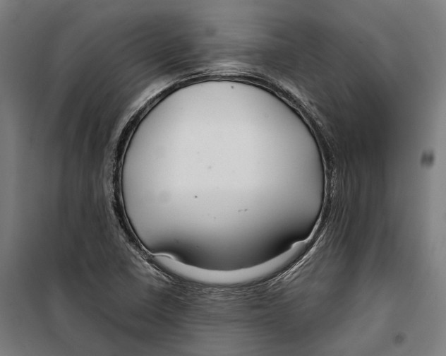 X0000099511410200806121428