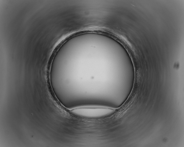 X0000099511412200806121428