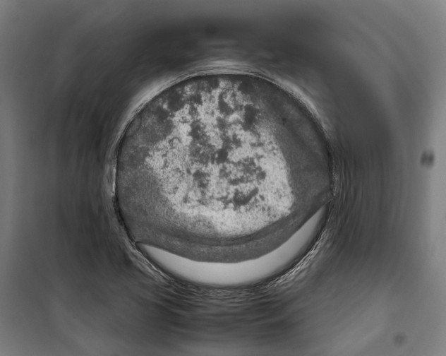 X0000099511413200806121428