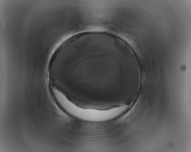 X0000099511414200806121428